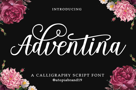 Adventina Script: A Premium Typeface for Web Design