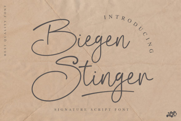 Biegen Stinger Script: A Vintage Font for Business