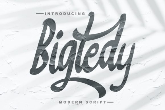 Bigtedy Script: A Timeless Handwritten Typeface for Marketers