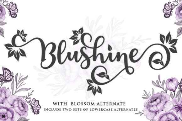 Blushine Script: The Modern Typeface for Marketers
