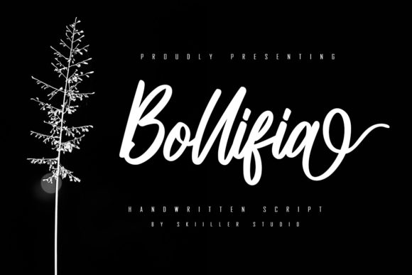 Bollifia Script: The Elegant Typeface for Modern Marketing