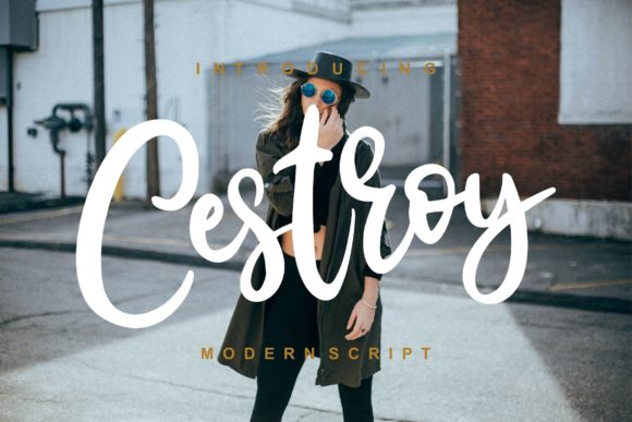 Cestroy Script: A Premium Handwritten Font for Web Design