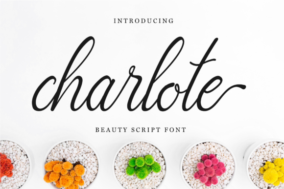 Charlote Script: A Delicate Typeface for Modern Web Design