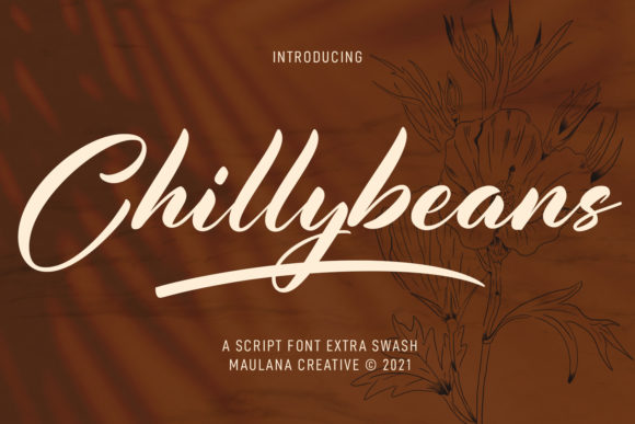 Chillybeans Script: A Marketer's Review of This Elegant Typeface