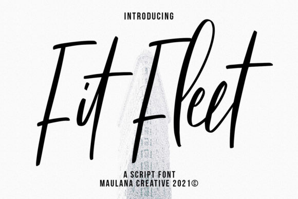 Fit Fleet Script: A Designer's Real-World Review