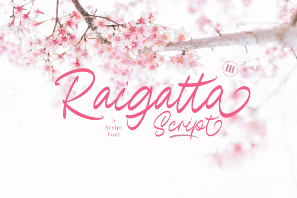 Raigatta Script: The Perfect Typeface for Campaigns