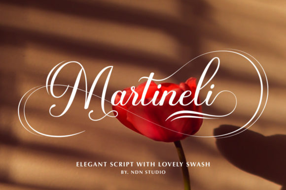 Reviewing Martineli Script for Real Brand Projects