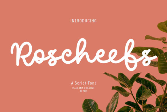 Roscheefs Script: A Premium Font for Digital Brands